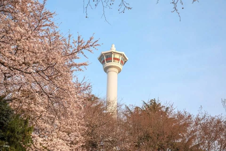 Busan Tower Observatory Admission Ticket