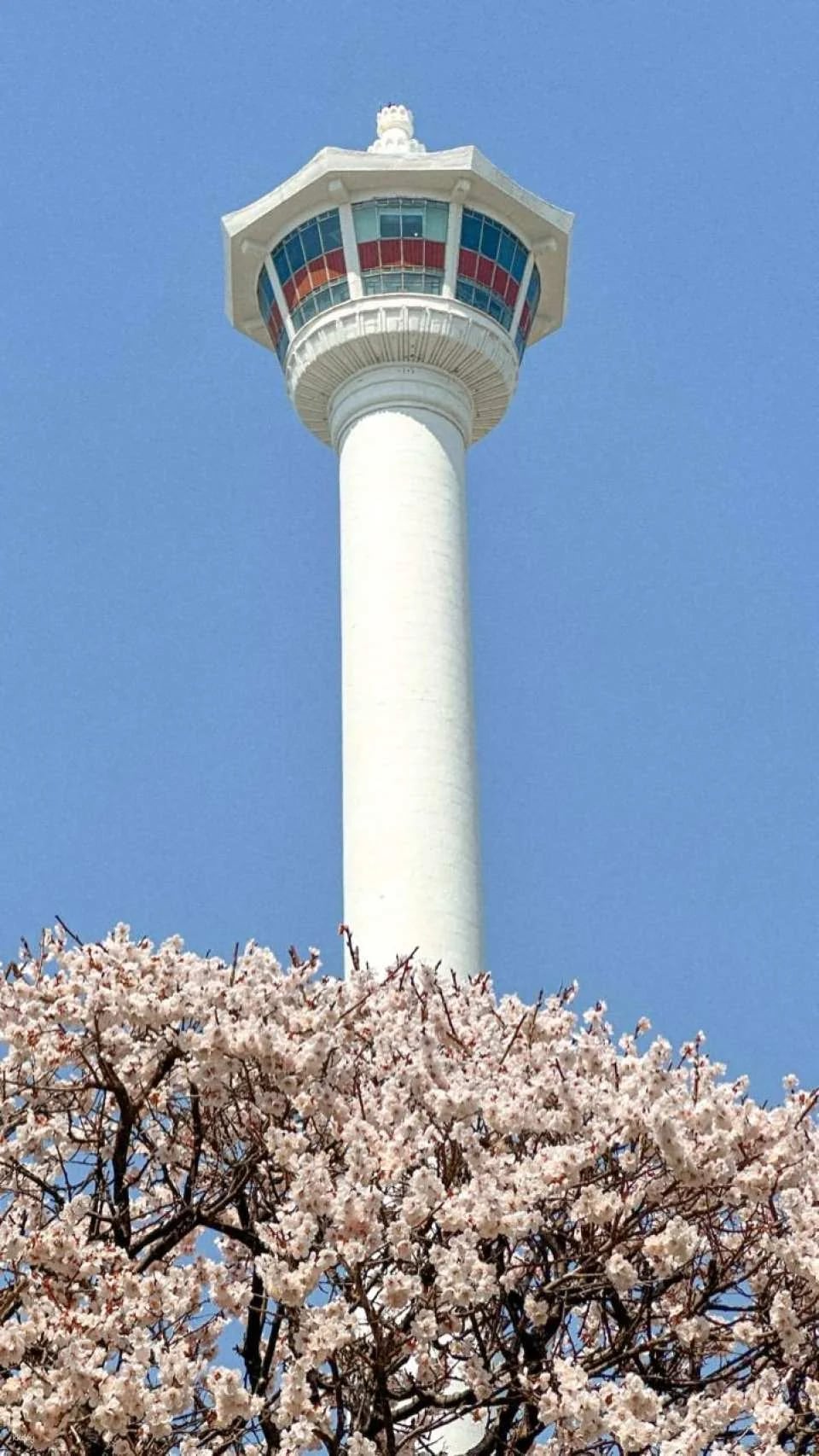 Busan Tower Observatory Admission Ticket