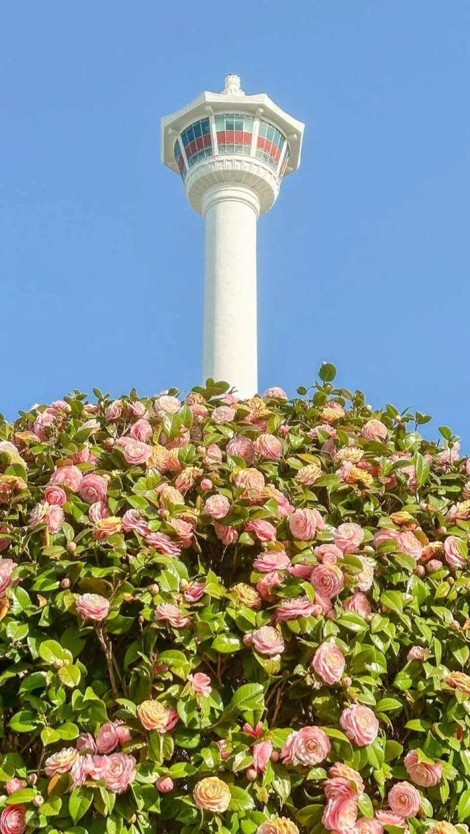 Busan Tower Observatory Admission Ticket