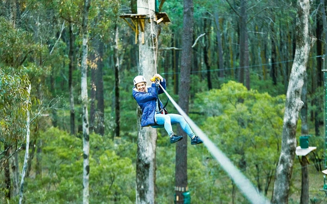 Busselton: Forest Adventures High Ropes Course
