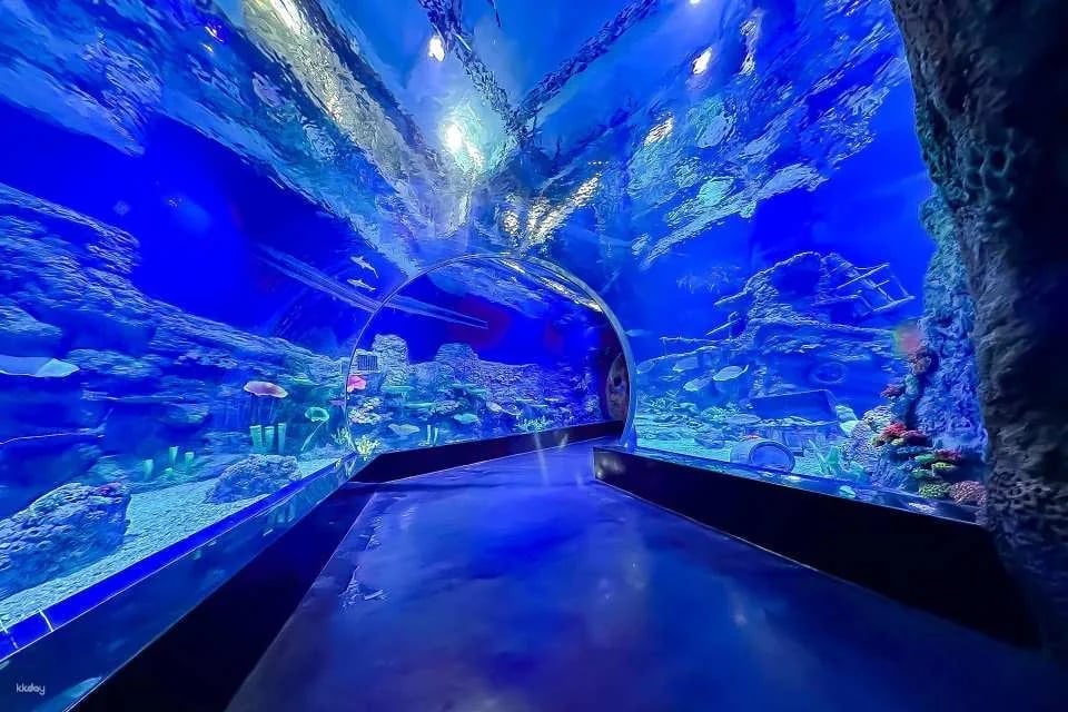 BXSea Aquarium & Edutainment Ticket | Banten, Indonesia