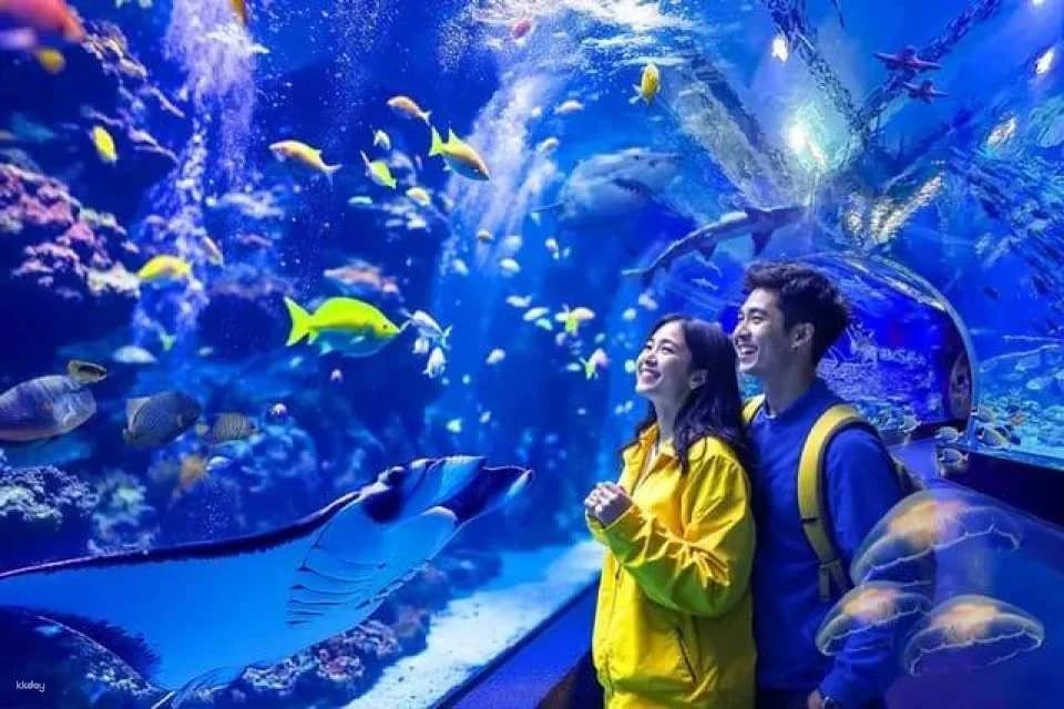 BXSea Aquarium & Edutainment Ticket | Banten, Indonesia