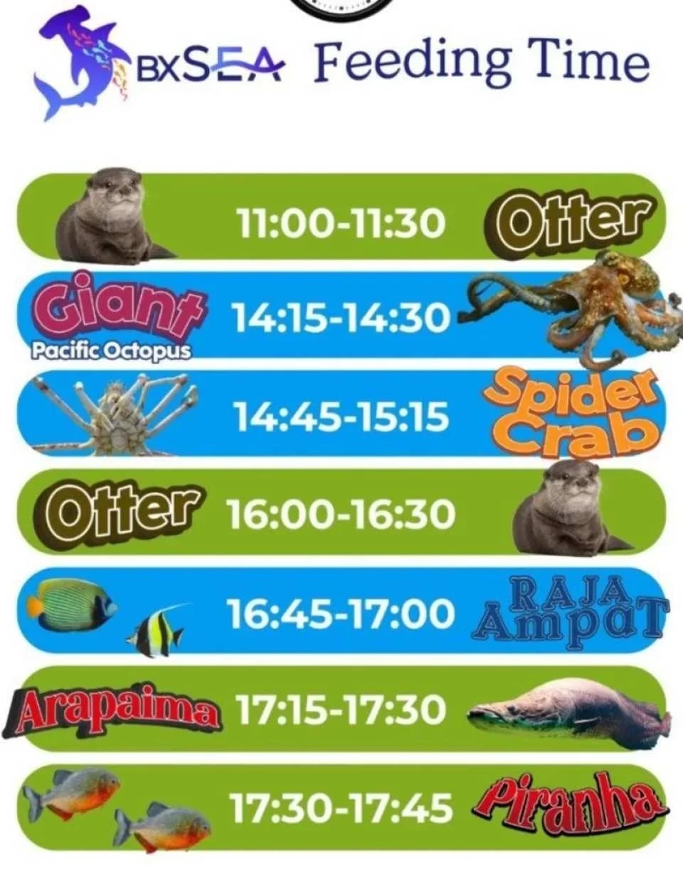 BXSea Aquarium & Edutainment Ticket | Banten, Indonesia