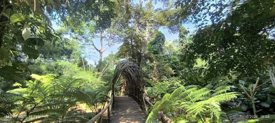 Cacaoyan Forest Park Admission Ticket | Philippines