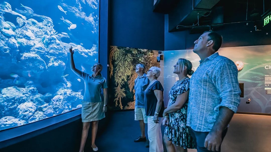 Visitors observing marine life during a Night at the Aquarium guided nocturnal tour.