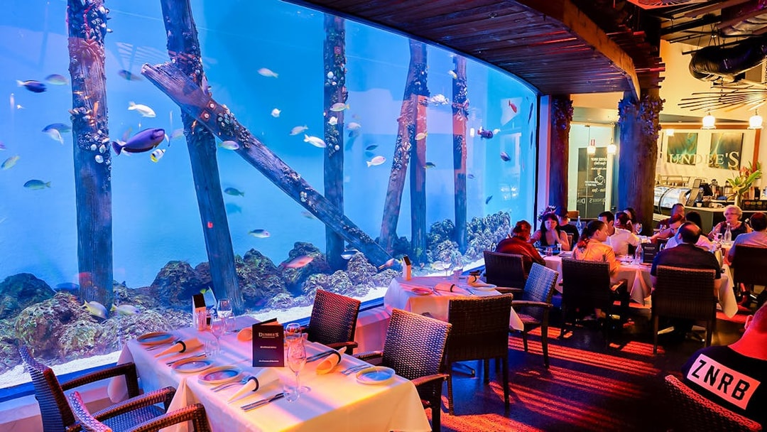 Dining area at Dundees Restaurant inside Cairns Aquarium with large fish tank at night.