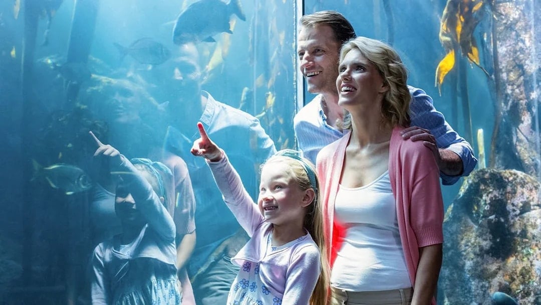 Family enjoying marine life at Cairns Aquarium.
