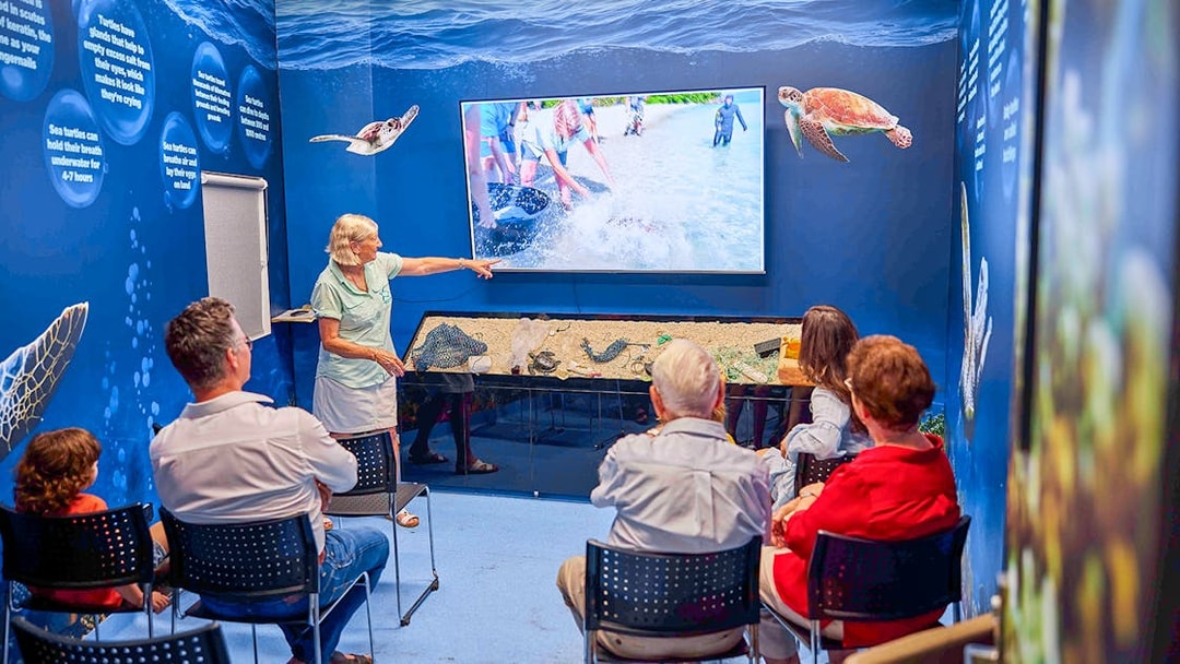 Visitors attending a presentation at Cairns Aquarium Turtle Hospital.