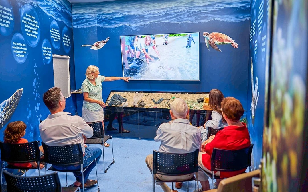 Cairns Aquarium General Admission Tickets with Turtle Hospital Tour Image 7