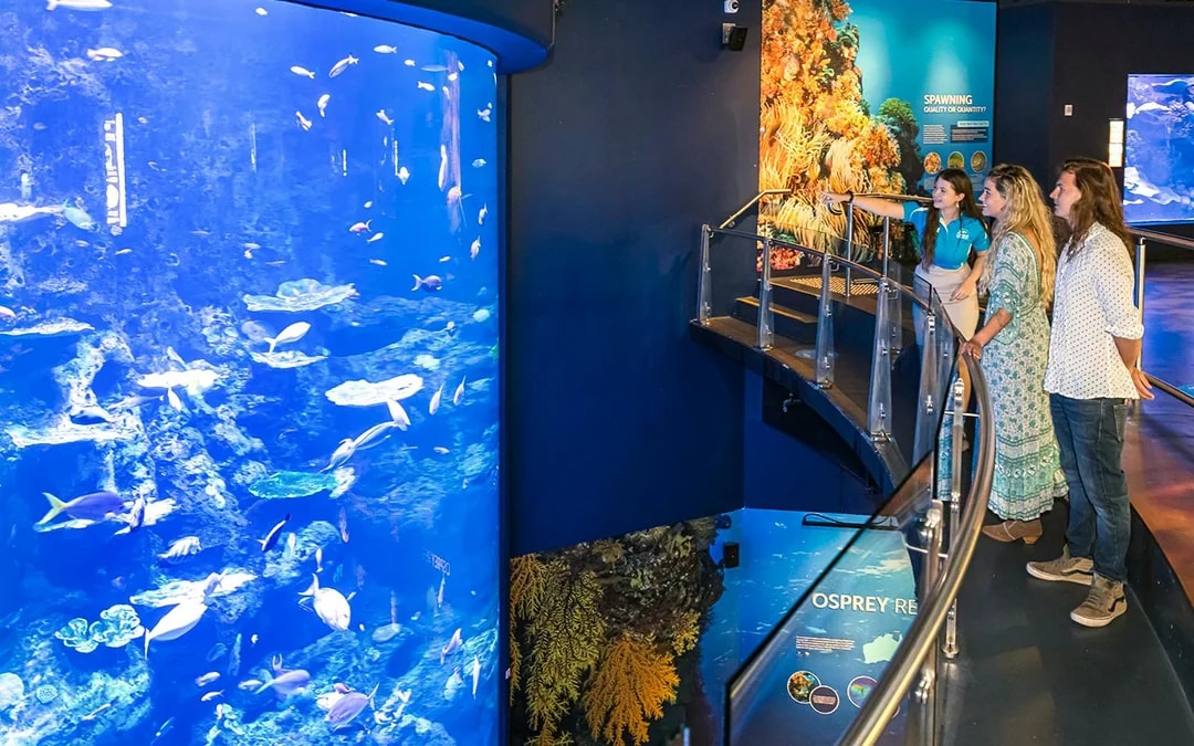 Cairns Aquarium Tickets Image 6