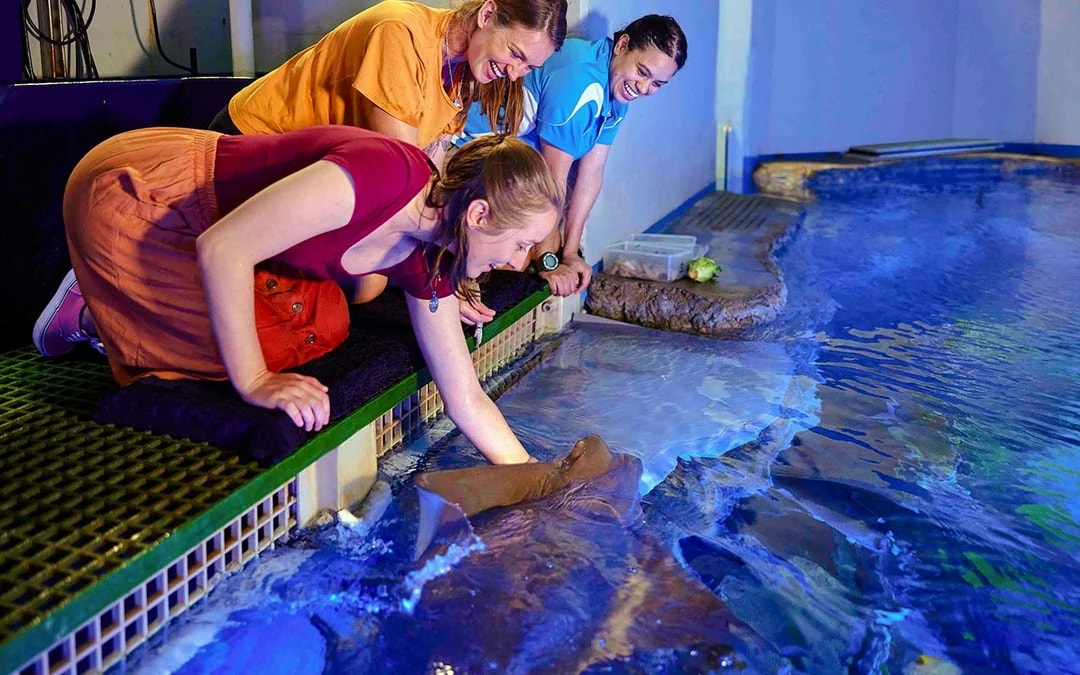 Cairns Aquarium Tickets Image 8