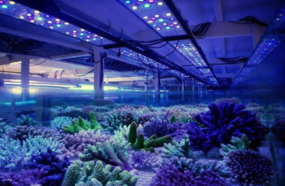 Cairns Aquarium Tickets | Queensland