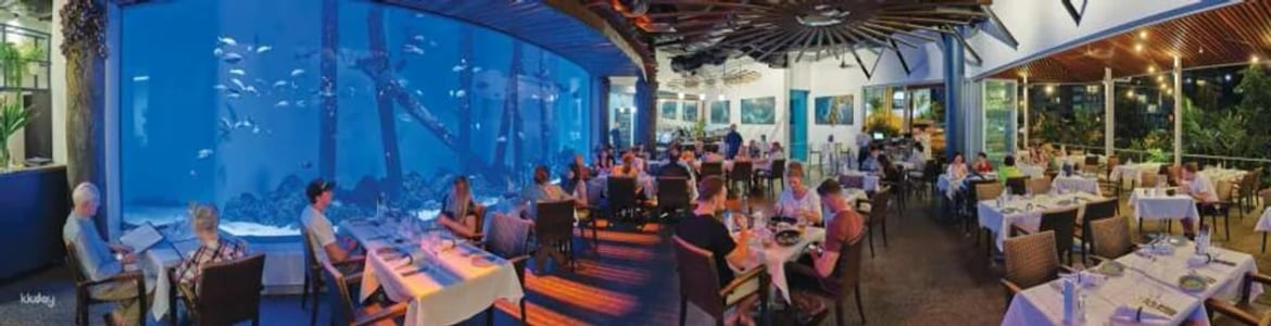 Cairns Aquarium Twilight Tour with Dinner Option | Queensland