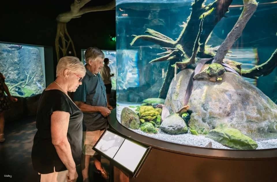 Cairns Aquarium Twilight Tour with Dinner Option | Queensland