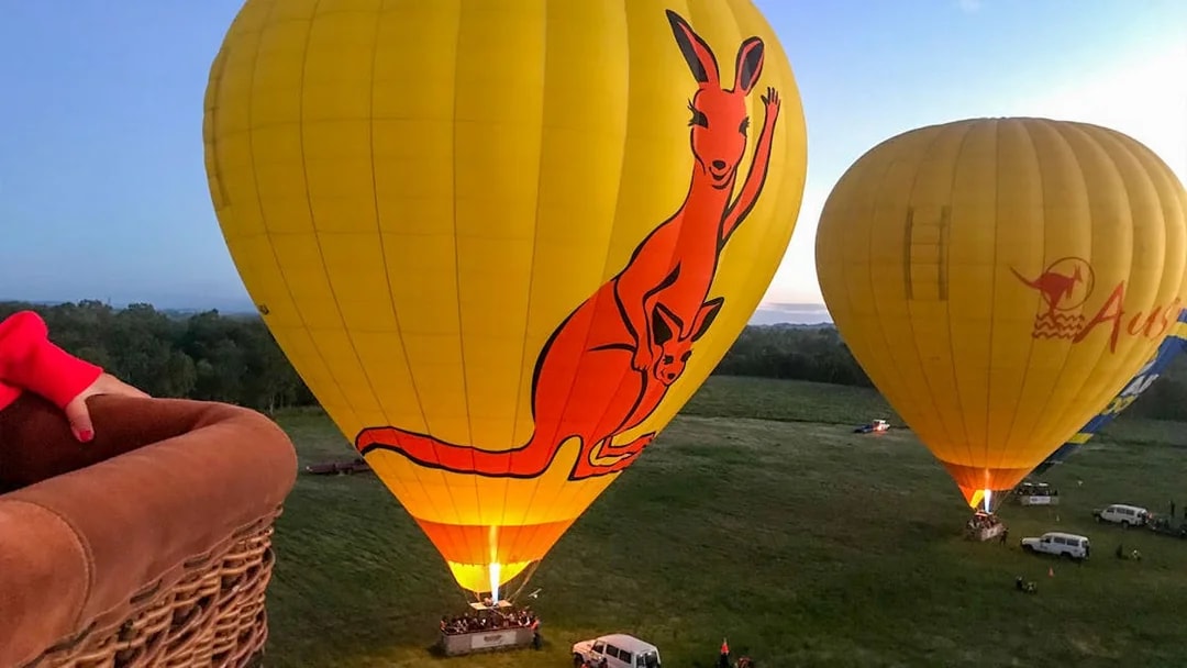 Hot air balloons with kangaroo design preparing for flight in Cairns, Australia.