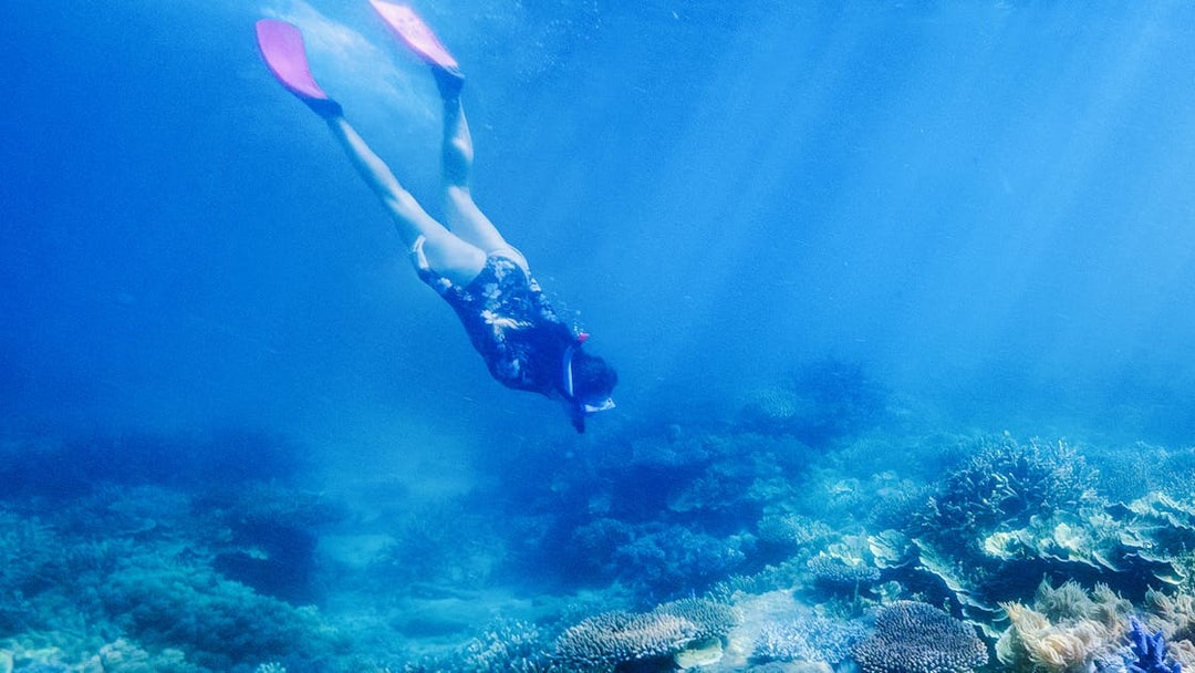 Snorkeler exploring coral reef at Fitzroy Island, Australia.