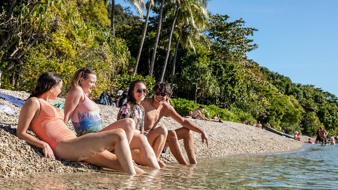People relaxing on a pebble beach at Fitzroy Island, surrounded by lush greenery and clear water.