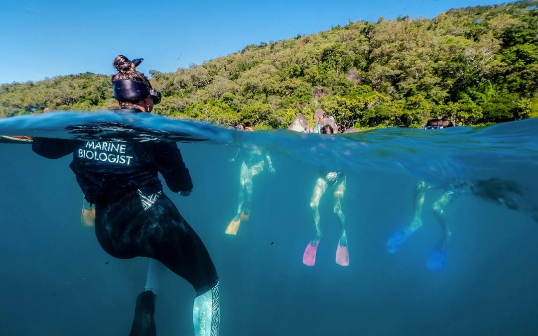 Cairns to Fitzroy Island Full Day Cruise with Activity Upgrades Image 4