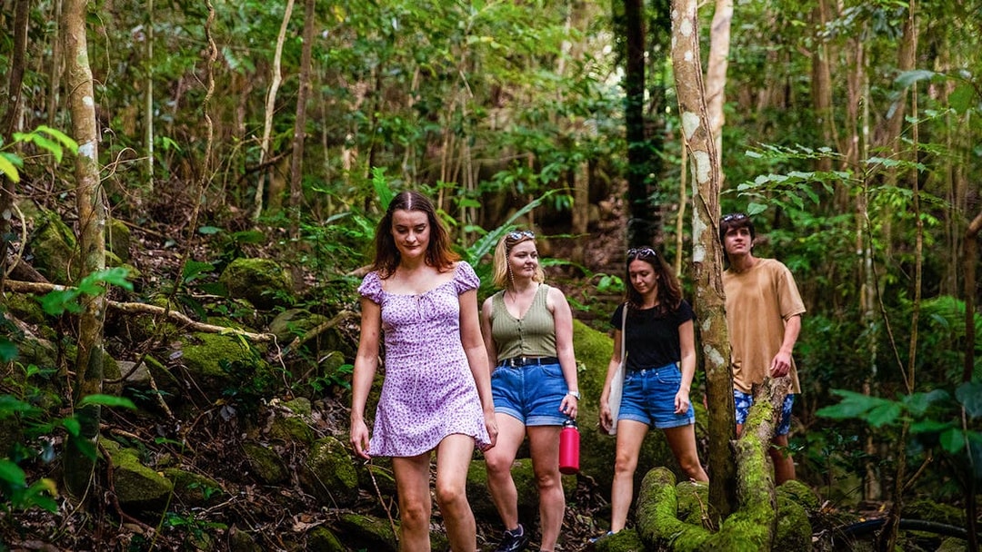 Group hiking through lush forest on Fitzroy Island adventure.