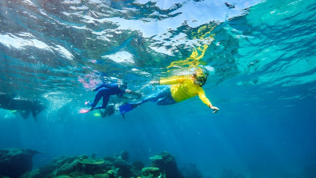 Snorkelers exploring coral reef during Green Island Reef Catamaran Cruise, Cairns, Australia.