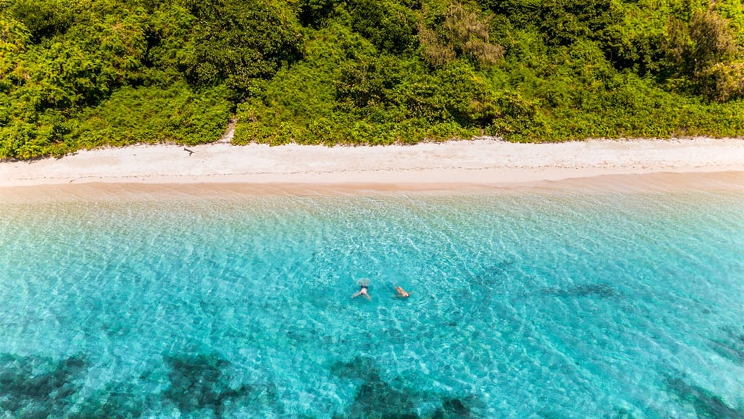 Snorkelers in clear water near Green Island beach, surrounded by lush greenery.