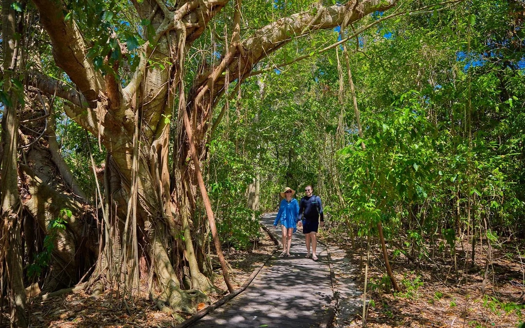 Cairns to Green Island Full Day Cruise with Activity Upgrades Image 6