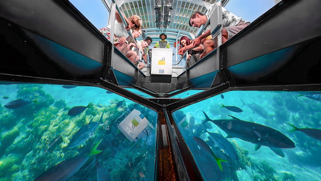 Tourists observing marine life through a glass-bottom boat on a Cairns to Green Island cruise.