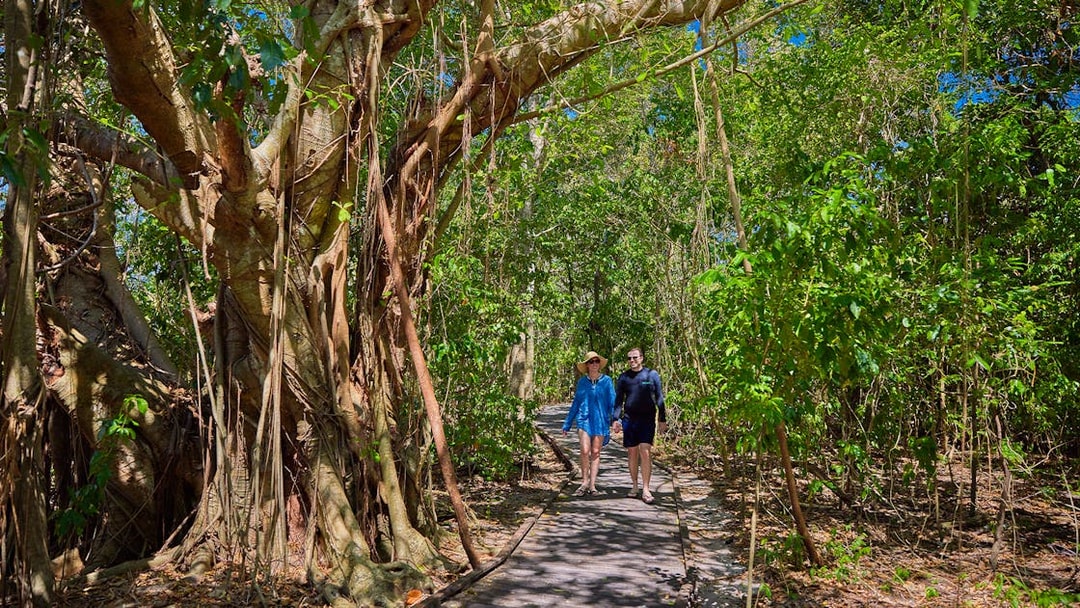 Tourists walking on a forest path on Green Island, Cairns, Australia.