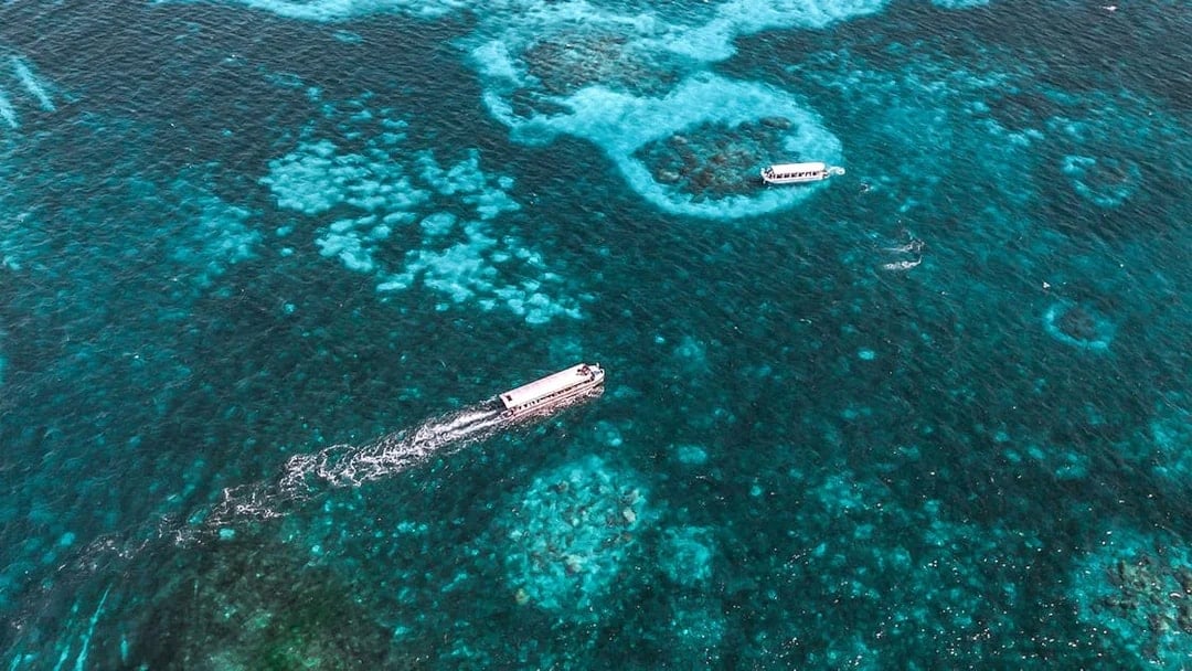 Cairns to Green Island Half Day Cruise with Activity Upgrades