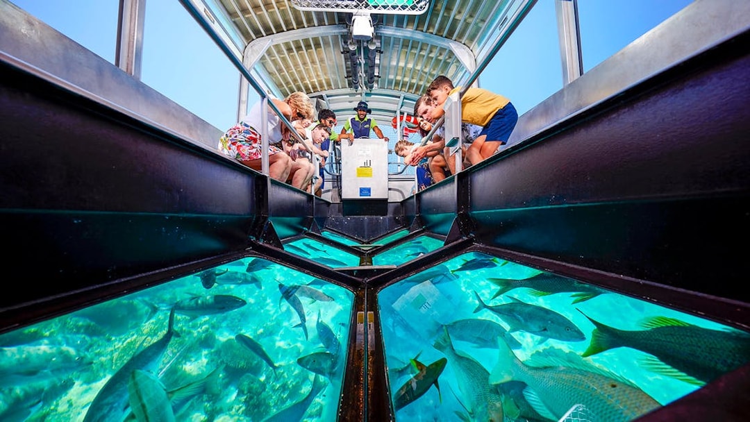 Tourists on a glass bottom boat viewing coral and fish at Great Barrier Reef near Cairns, Australia.