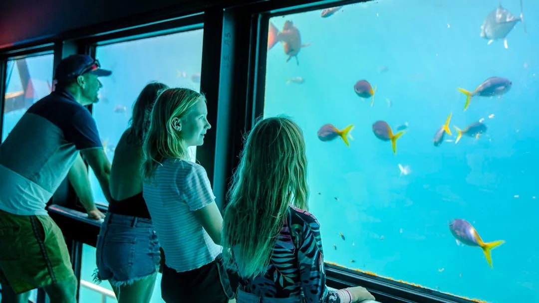 People observing fish through windows on a semi-submersible at the Great Barrier Reef.