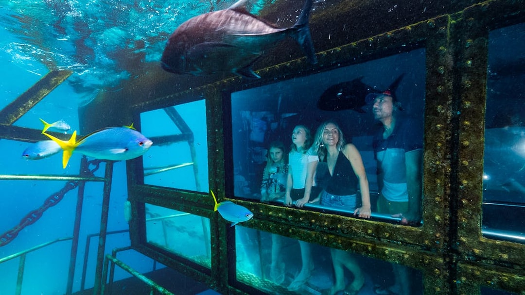 Tourists in a semi-submersible boat viewing marine life at the Great Barrier Reef.