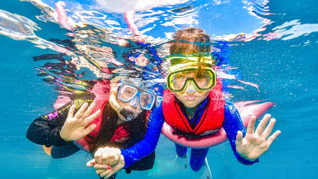 Tourists snorkelling in the Great Barrier Reef, wearing masks and life vests.