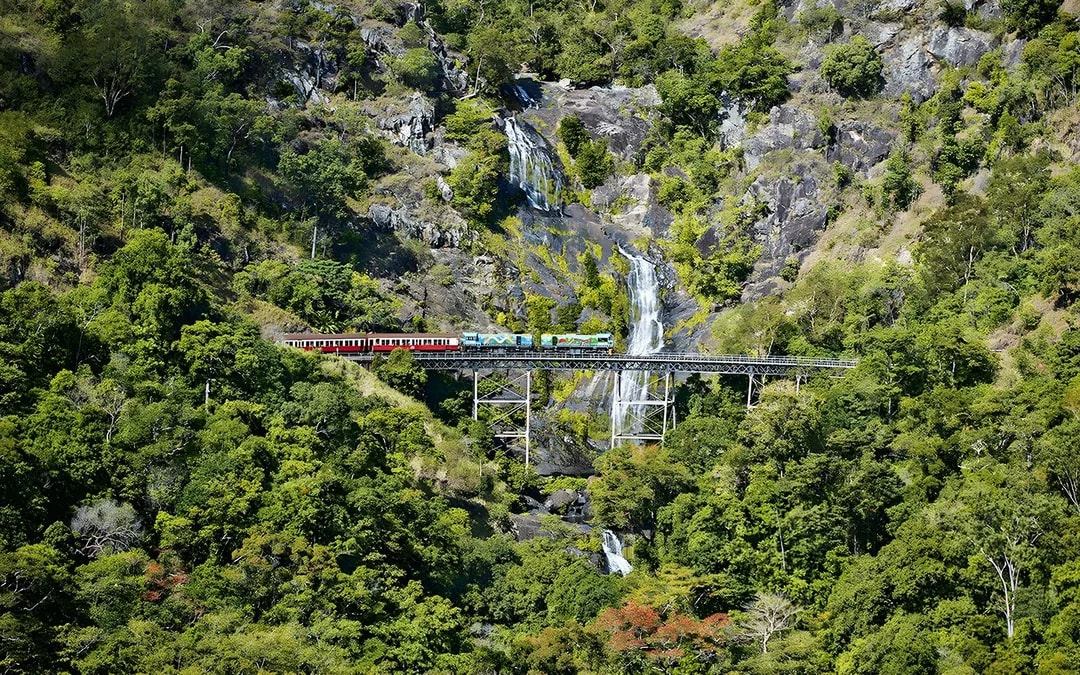 From Cairns: Scenic Train with Gold Class & Skyrail Kuranda Tour with Transfers Image 7