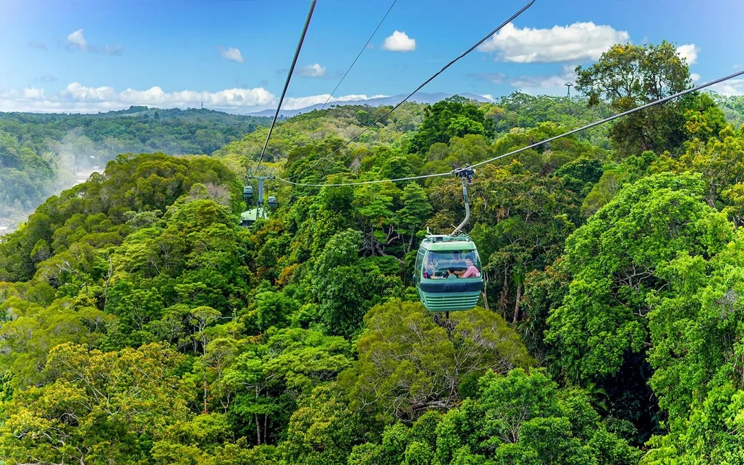 From Cairns: Scenic Train with Gold Class & Skyrail Kuranda Tour with Transfers Image 10