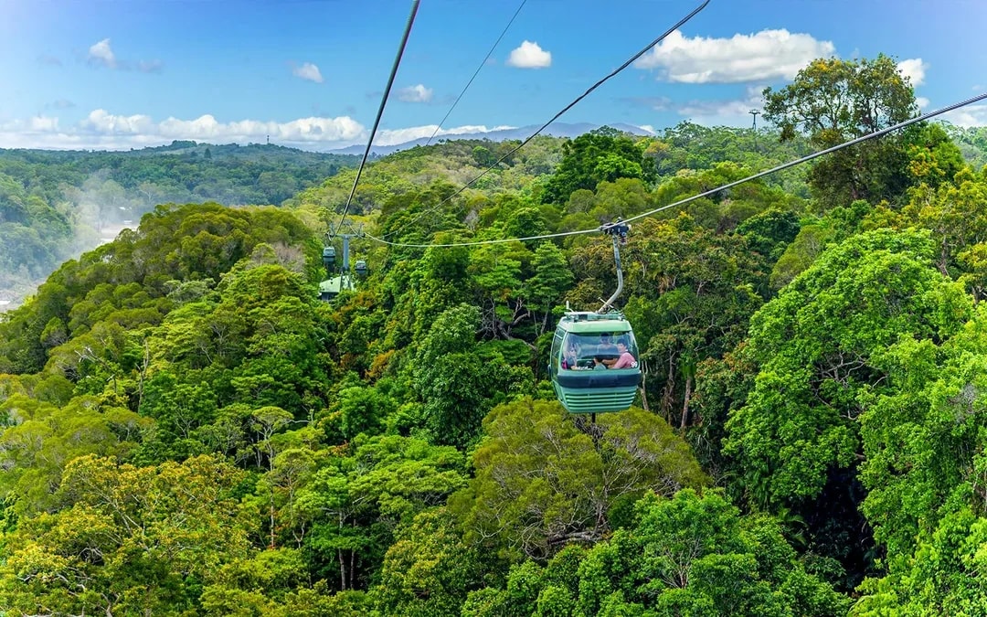From Cairns: Scenic Train, Skyrail, & Hartley's Crocodile Adventures  Image 2