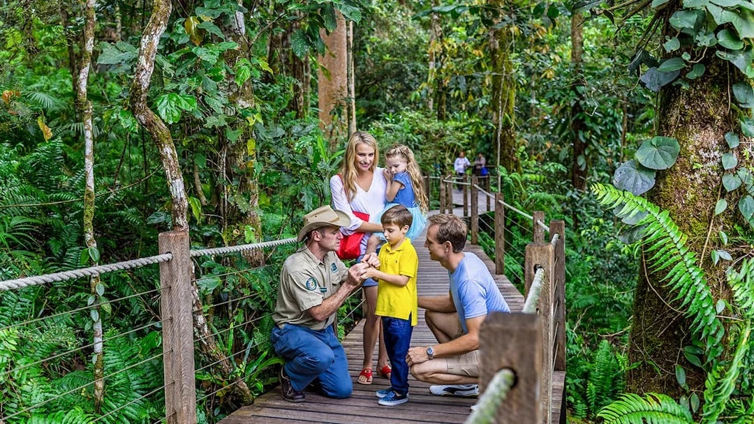Guide explaining rainforest plants to family on Kuranda tour, Cairns.