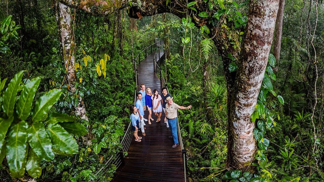 Visitors on a rainforest boardwalk tour at Barron Falls Skyrail Station.