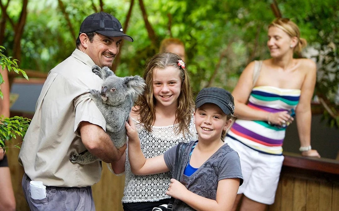 From Cairns: Scenic Train, Skyrail & Kuranda Rainforest Tour Image 6