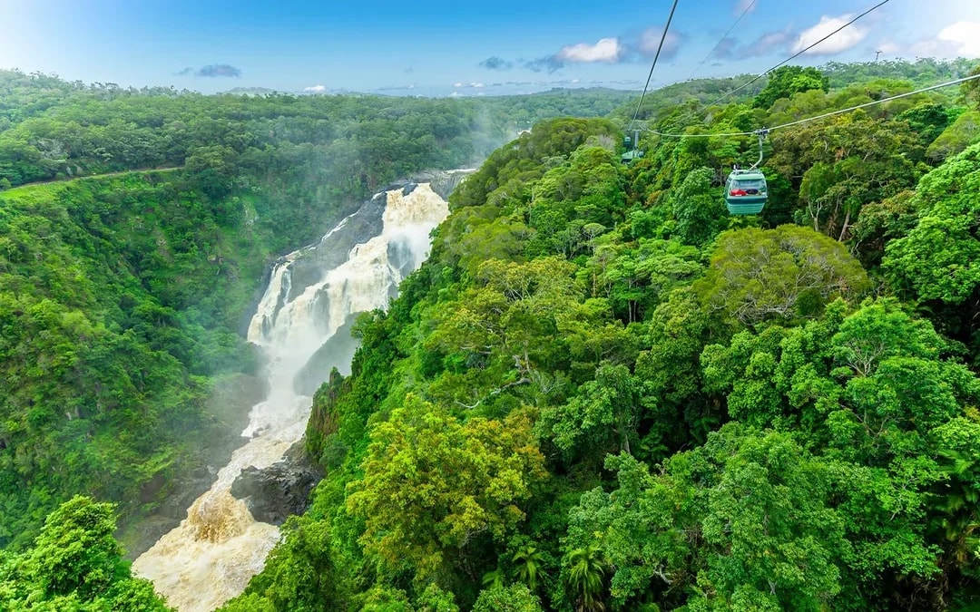 From Cairns: Scenic Train, Skyrail & Kuranda Rainforest Tour Image 8