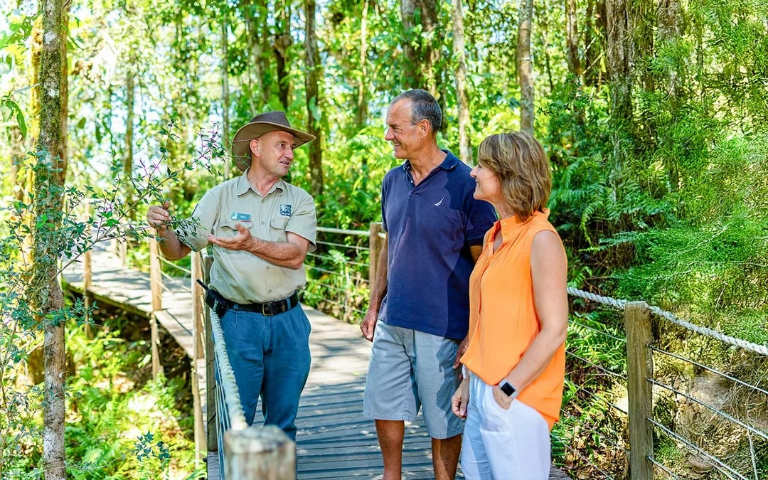 From Cairns: Scenic Train, Skyrail & Kuranda Rainforest Tour Image 9
