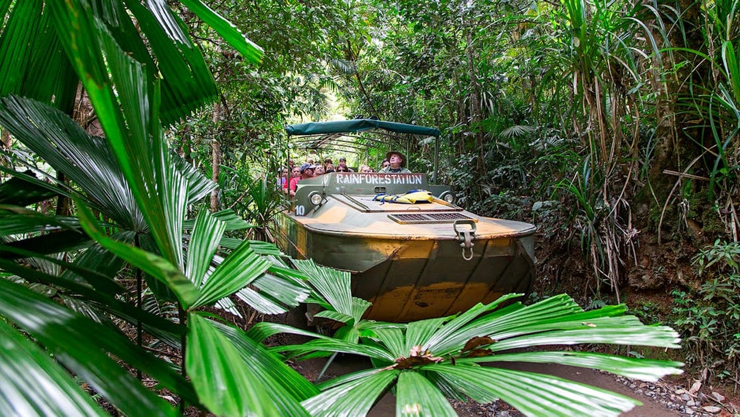 Army Duck navigating through Kuranda rainforest, Cairns.