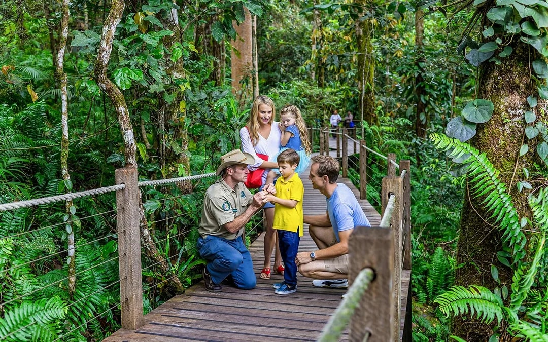 From Cairns: Scenic Train, Skyrail & Kuranda Rainforest Tour Image 10