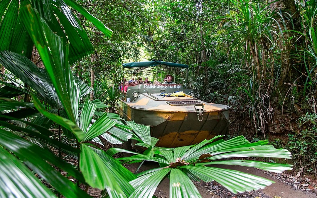 From Cairns: Scenic Train, Skyrail & Kuranda Rainforest Tour Image 11