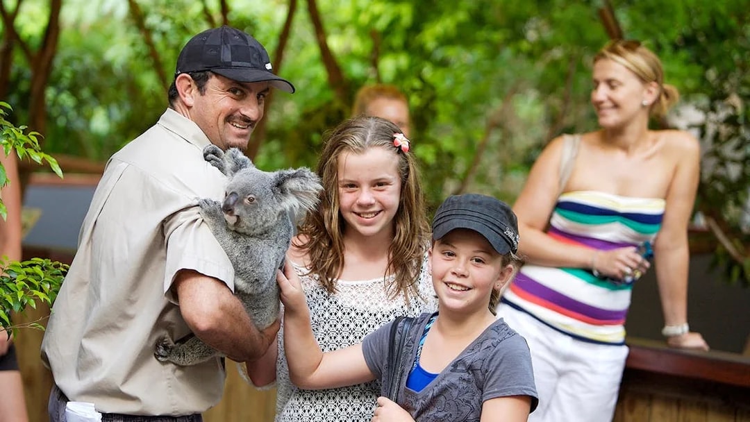 Person holding a koala with children at Kuranda wildlife park.