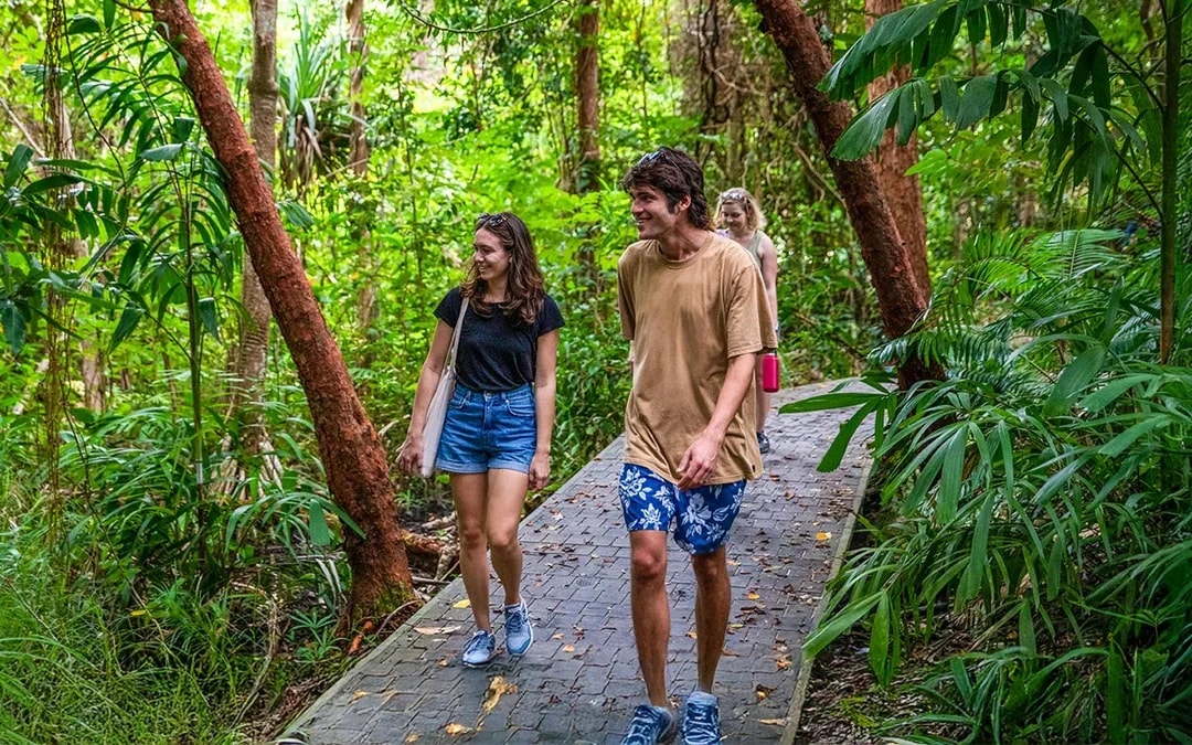 Cairns to Fitzroy Island Half-Day Cruise With Activity Upgrades Image 6