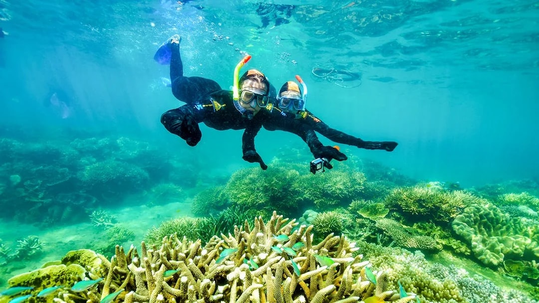 Snorkelers exploring coral reefs at Fitzroy Island.