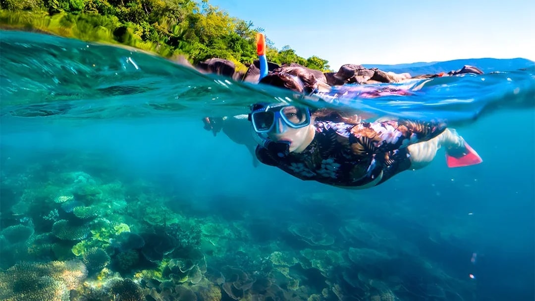 Snorkeler exploring coral reef at Fitzroy Island, Australia.