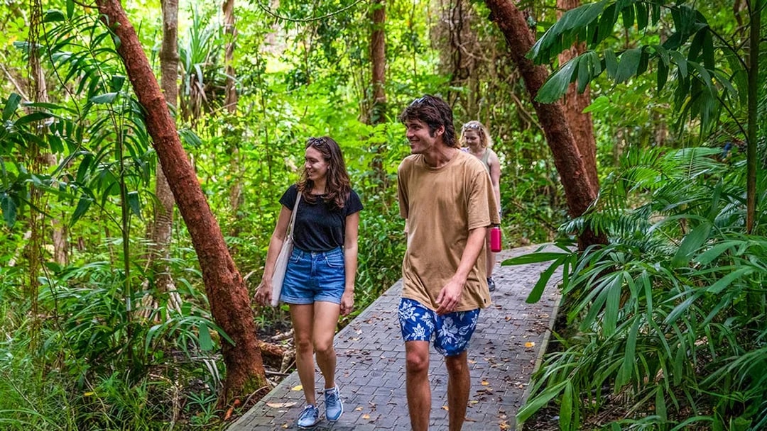 Tourists walking on a forest path during a self-guided tour on Fitzroy Island.