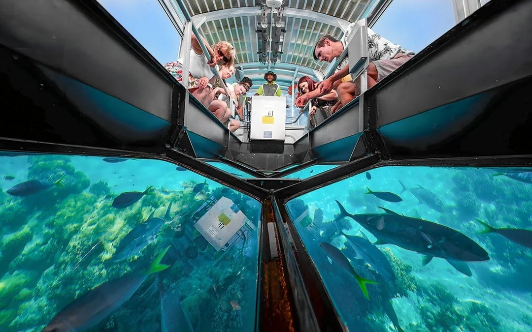 Cairns to Green Island Full/Half-Day Cruise with Glass Bottom Boat Tour